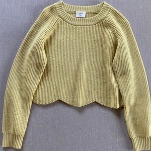 *NWOT* Aritzia Wilfred Cropped Sweater